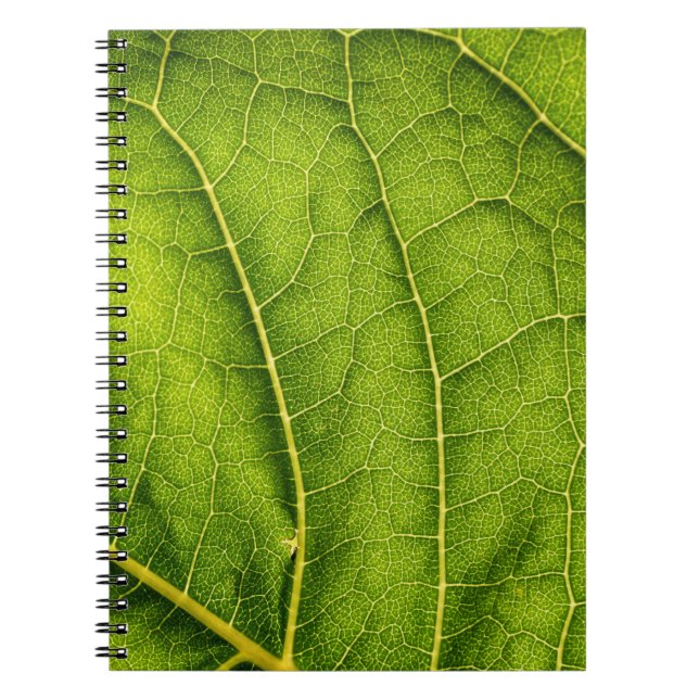 Green leaf notebook (Front)