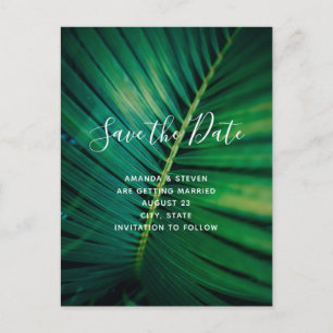 Green Leaf Palm Frond Closeup Photo Save the Date Invitation Postcard