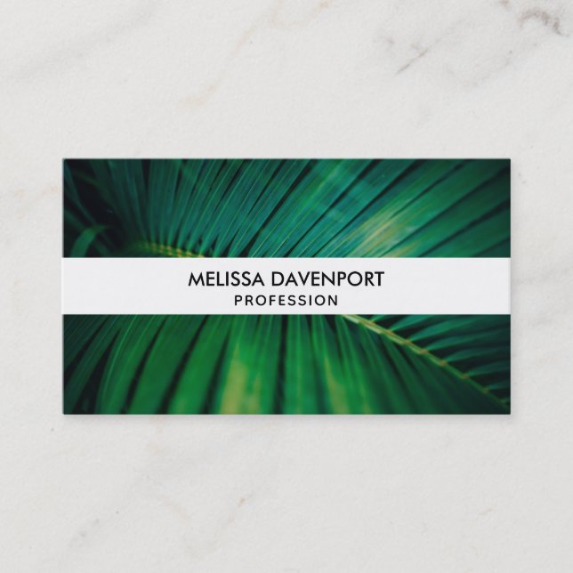 Green Leaf Palm Frond Tropical Nature Photo Business Card (Front)