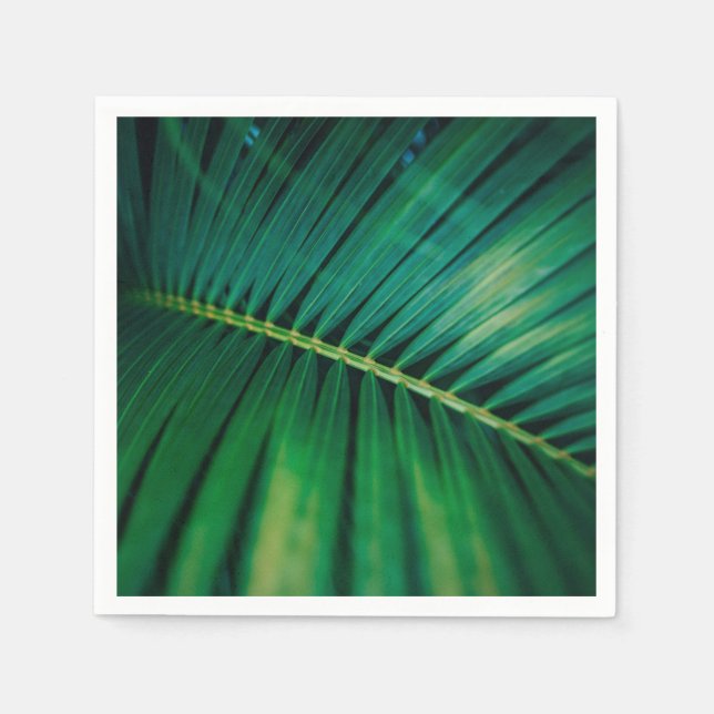 Green Leaf Palm Frond Tropical Nature Photo Napkin (Front)