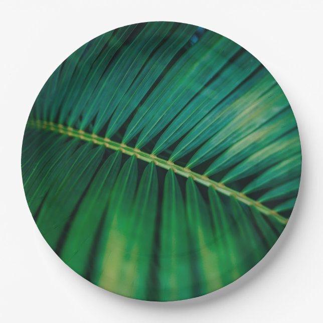 Green Leaf Palm Frond Tropical Nature Photo Paper Plate (Front)