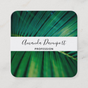 Green Leaf Palm Frond Tropical Nature Photo Square Business Card