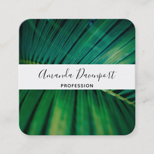 Green Leaf Palm Frond Tropical Nature Photo Square Business Card (Front)