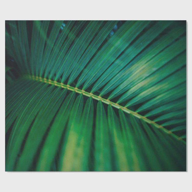 Green Leaf Palm Frond Tropical Nature Photo Wrapping Paper (Flat)