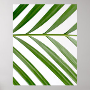 Green leaf plant during daytime poster
