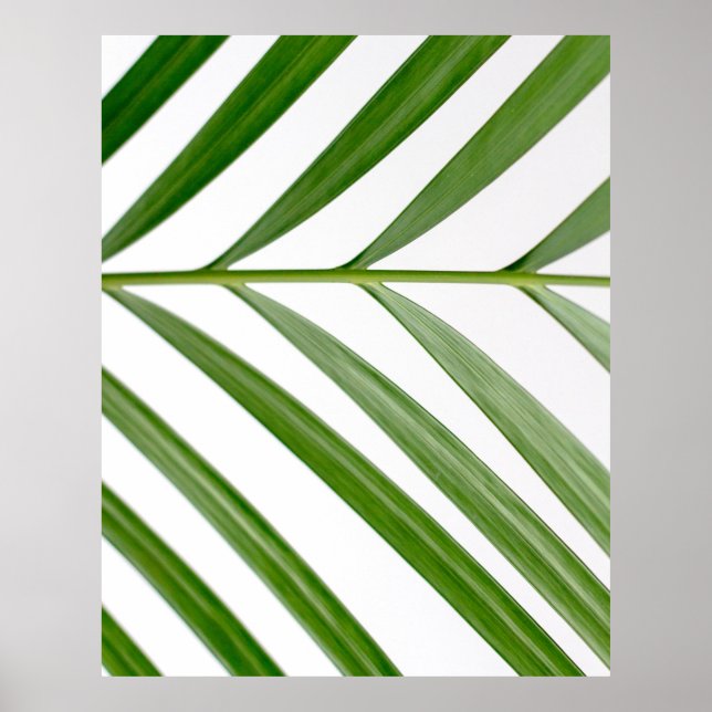 Green leaf plant during daytime poster (Front)
