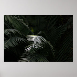 GREEN LEAF PLANT POSTER