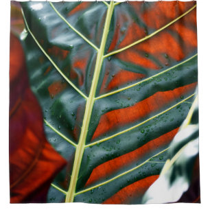 Green leaf plant shower curtain