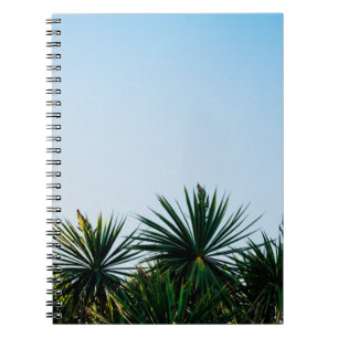 Green leaf plants under clear sky notebook