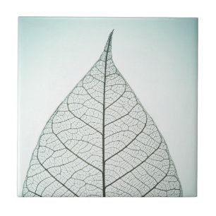 Green Leaf Skeleton Ceramic Tile