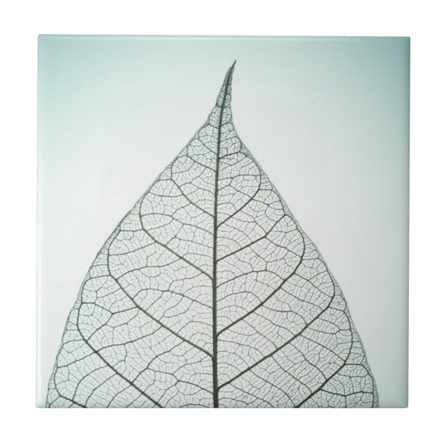 Green Leaf Skeleton Ceramic Tile (Front)
