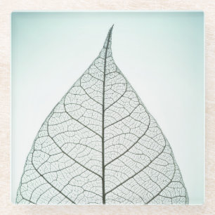 Green Leaf Skeleton Glass Coaster