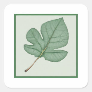 Green Leaf Square Sticker