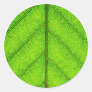 Green Leaf Stickers