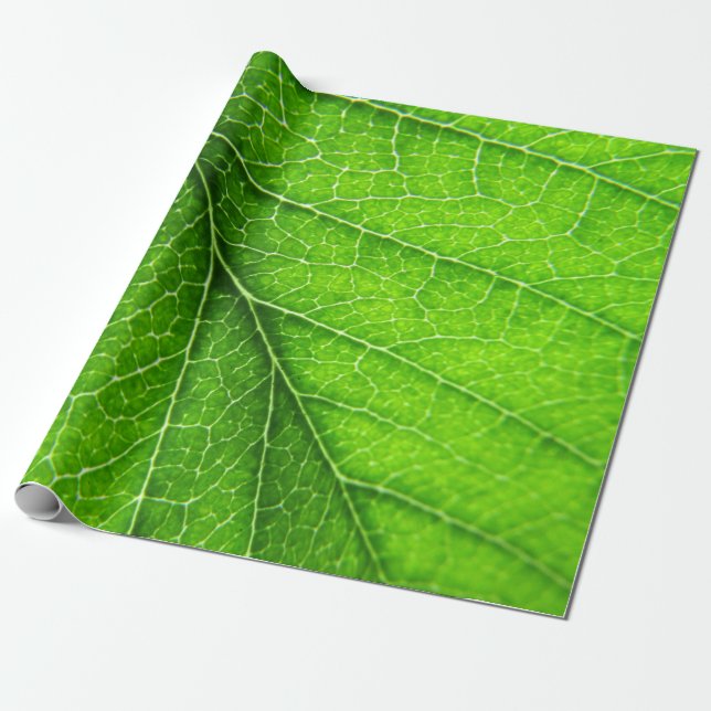 Green leaf texture wrapping paper (Unrolled)