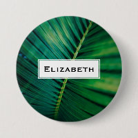Green Leaf Tropical Forest Nature Photo