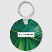 Green Leaf Tropical Forest Nature Photo