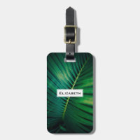 Green Leaf Tropical Forest Nature Photo