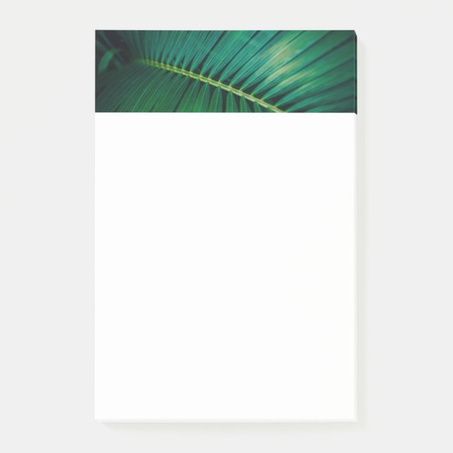 Green Leaf Tropical Forest Nature Photo Post-it Notes (Front)