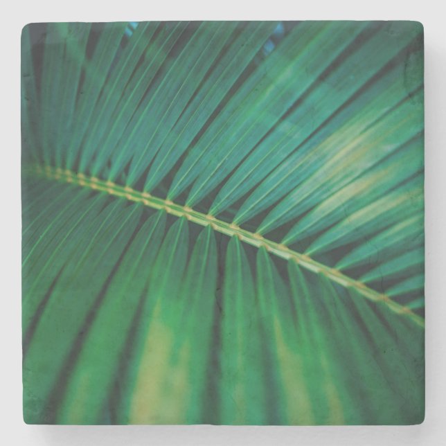 Green Leaf Tropical Forest Nature Photo Stone Coaster (Front)