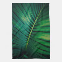 Green Leaf Tropical Forest Nature Photo