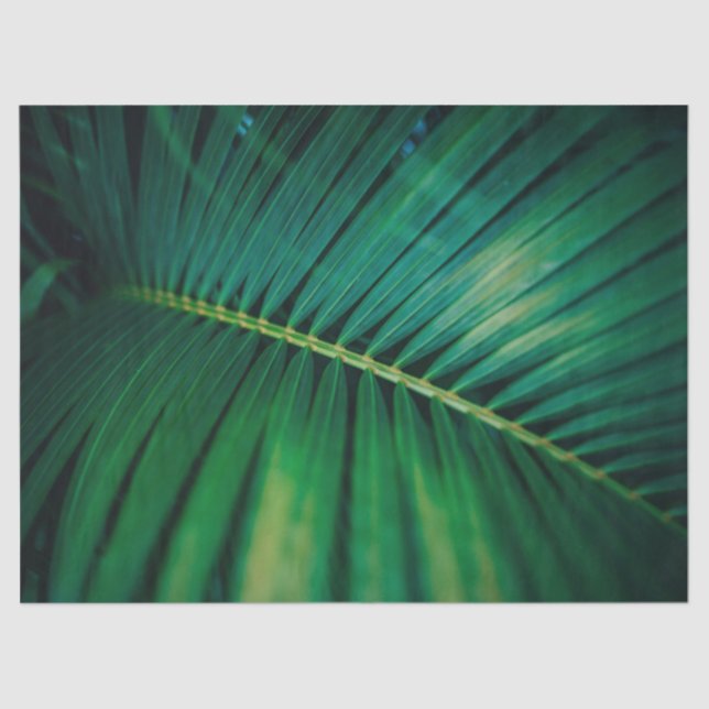 Green Leaf Tropical Forest Nature Photo Tissue Paper (Front)