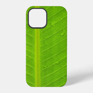 Green Leaf Water Drop iPhone 12 Pro Case