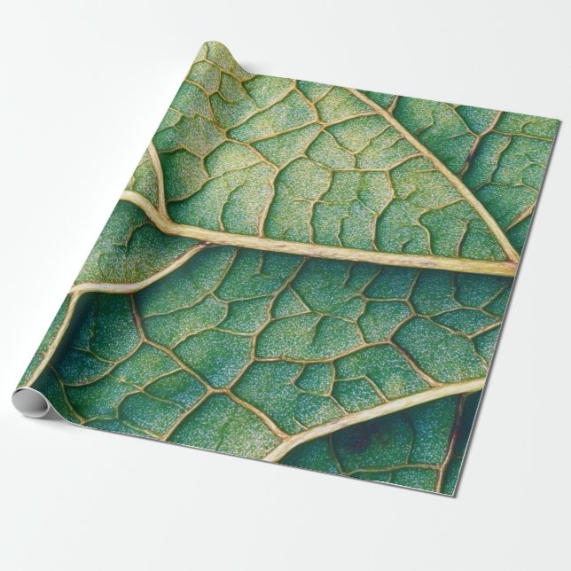 Green Leaf Wrapping Paper (Unrolled)