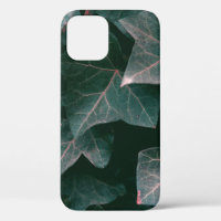GREEN-LEAFED PLANT