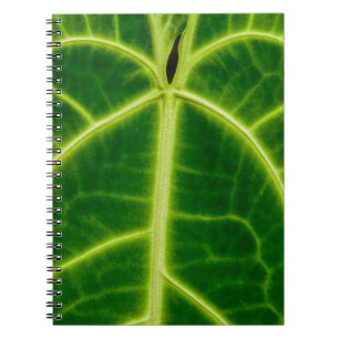 Green-leafed plant notebook