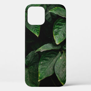 GREEN-LEAFED PLANT ON FOCUS PHOTOGRAPHY iPhone 12 CASE