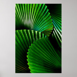 Green-leafed plant poster