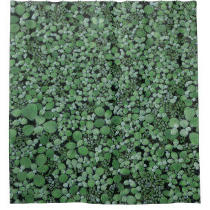 Green leafed plant shower curtain