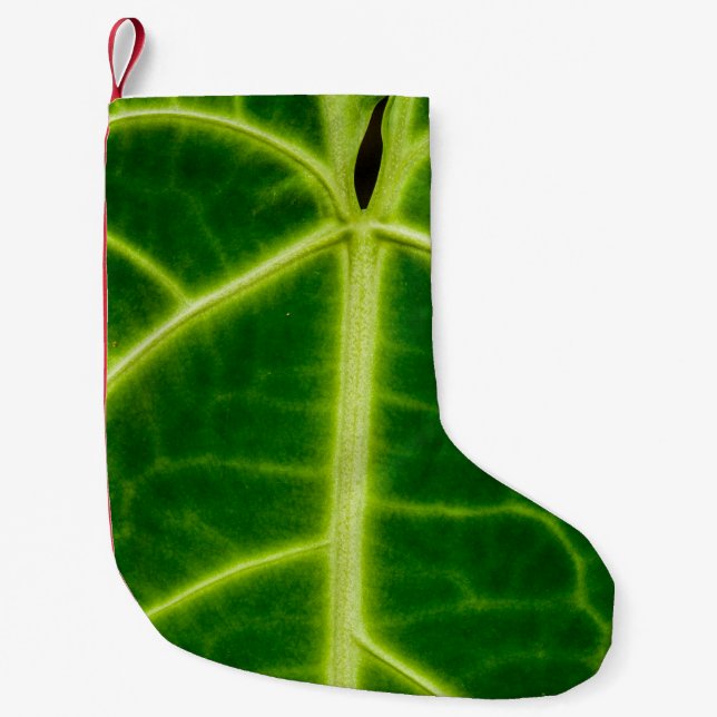 Green-leafed plant small christmas stocking (Front)
