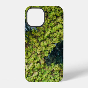Green leafed plants iPhone 12 case