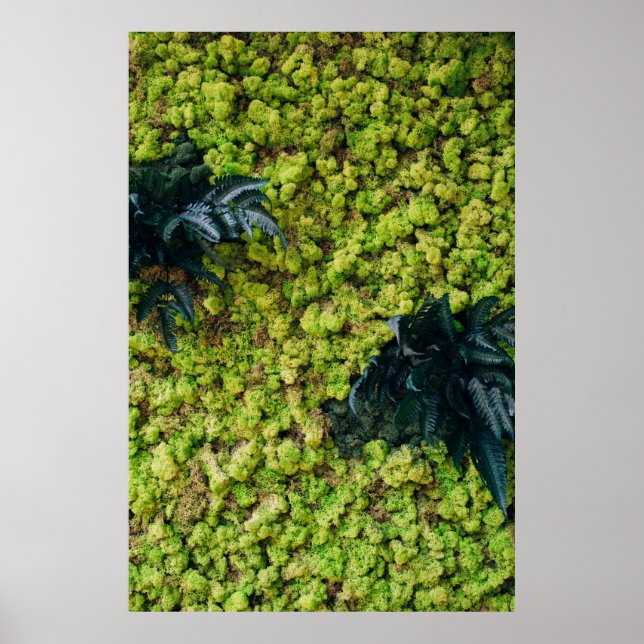 Green leafed plants poster (Front)