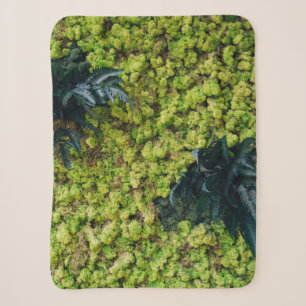 Green leafed plants sherpa blanket