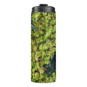Green leafed plants thermal tumbler