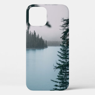GREEN-LEAFED TREE NEAR BODY OF WATER iPhone 12 CASE