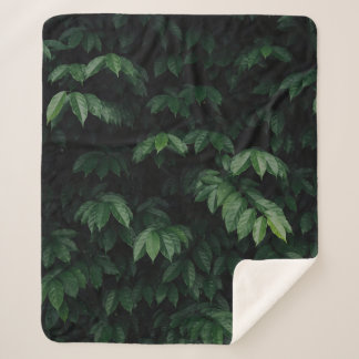 GREEN-LEAFED TREE SHERPA BLANKET