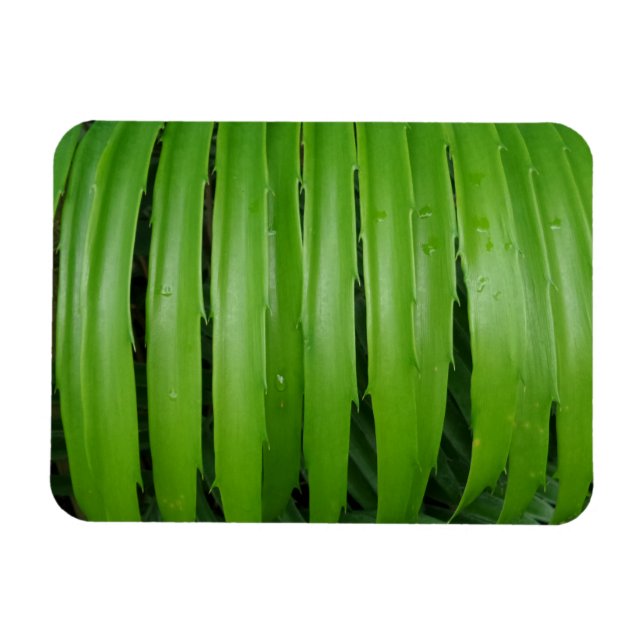 Green Leafs 3"x4" Magnet (Horizontal)