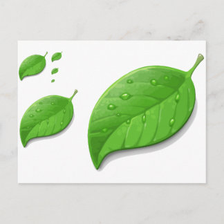 Green Leafs Postcard