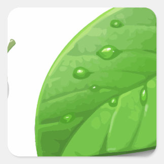 Green Leafs Square Sticker