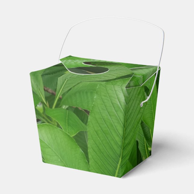 Green Leafs Take Out Favour Box (Front Side)