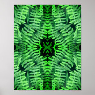 Green Leafy Ferns Abstract       Poster