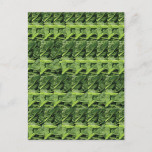 Green Leafy Vegetable Pattern Postcard