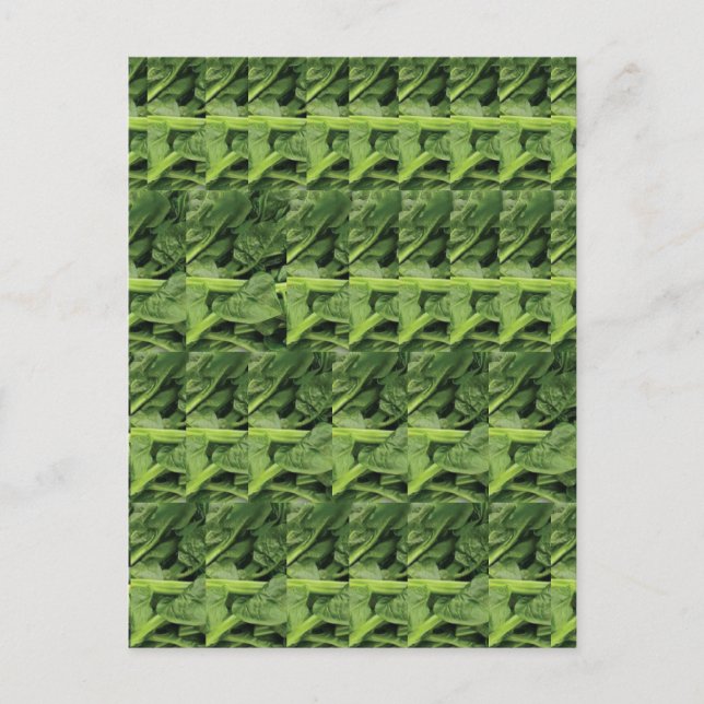Green Leafy Vegetable Pattern Postcard (Front)