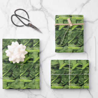 Green Leafy Vegetable  Wrapping Paper Sheet