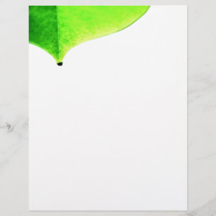 Green Leave Flyer
