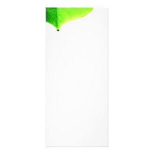Green Leave Rack Card